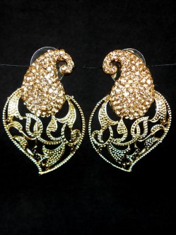 Fashion Earrings